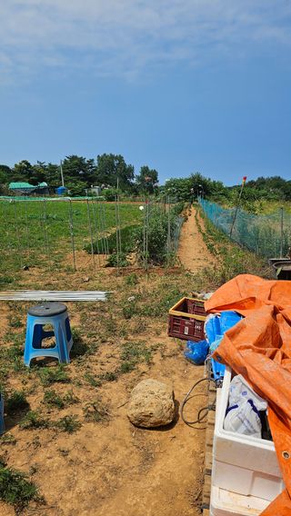 장철식님의 자유주제 · 자유게시판 작성글 사진