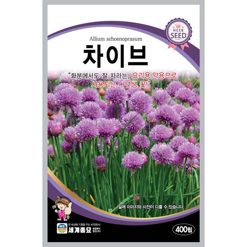 장터 상품 [[세계] 차이브 400립 / 차이브 씨앗 허브] 썸네일