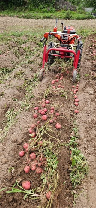 힐스님의 농사, 무엇이든 물어보세요! · 참여글 작성글 사진