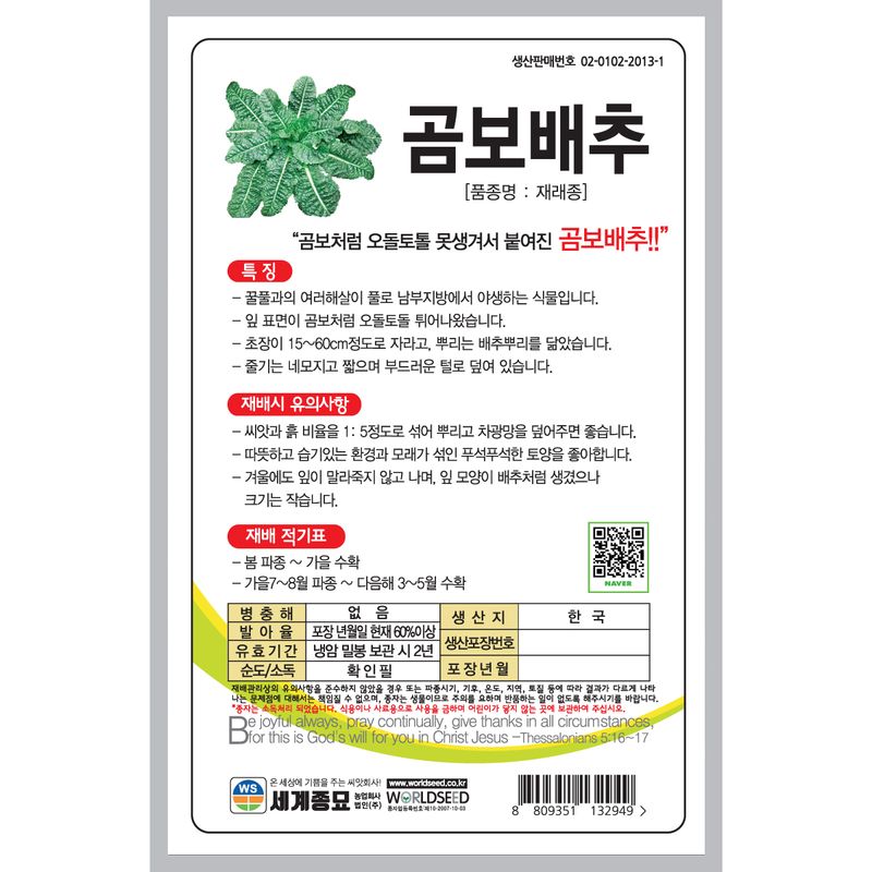 주주씨앗님의 장터 판매 상품 [[세계] 곰보배추 1000립 / 김장배추 씨앗] 첨부 사진
