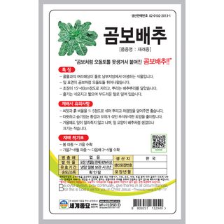 주주씨앗님의 작성글 사진