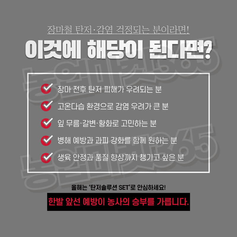 농업마켓365님의 장터 판매 상품 [농업마켓365 탄저솔루션SET 액제 500ml+500ml 식물영양제 비료 무름예방 탄저병 균박멸 작물보호] 첨부 사진