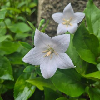 안길원님의 자유주제 · 자유게시판 작성글 사진