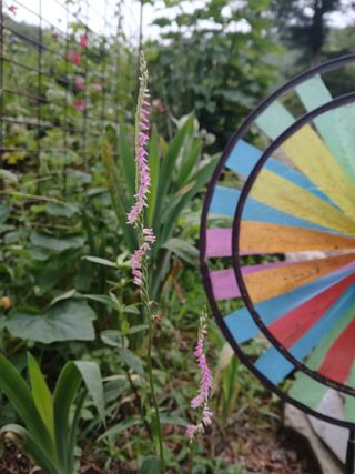 인생은 소풍처럼님의 자유주제 · 자유게시판 작성글 사진