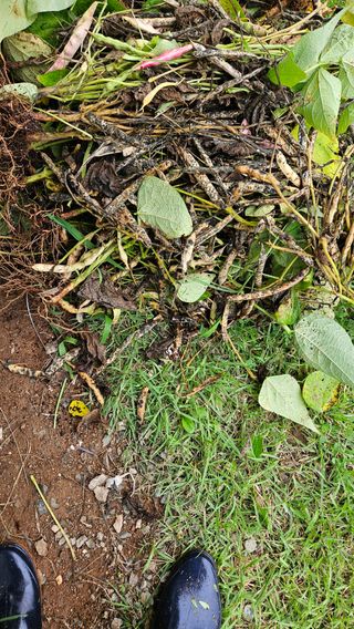 영경래8385님의 자유주제 · 자유게시판 작성글 사진