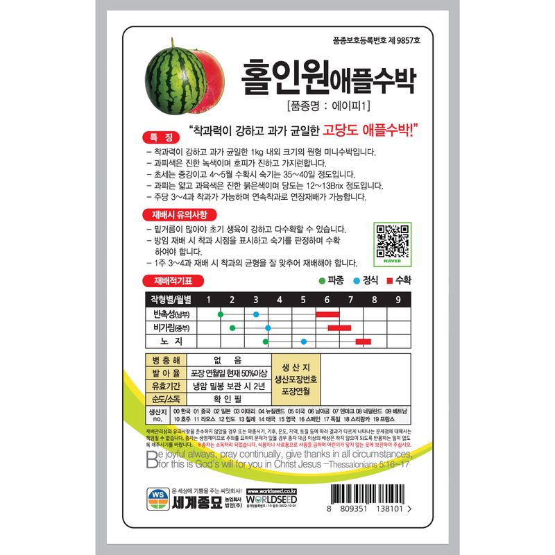주주씨앗님의 장터 판매 상품 [[세계] 홀인원 애플수박 10립 애플수박 씨앗] 첨부 사진