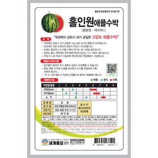 주주씨앗님의 작성글 사진