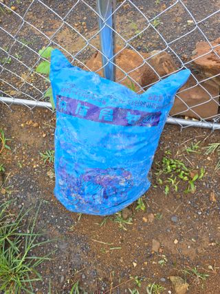 _고성농장님의 자유주제 · 자유게시판 작성글 사진