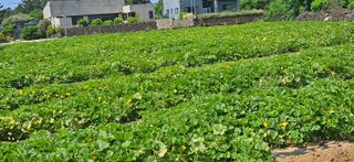 김화석님의 작성글 사진