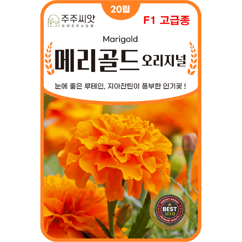 장터 상품 [[아람] 메리골드 오렌지 20립 메리골드 씨앗 F1 교배종] 썸네일