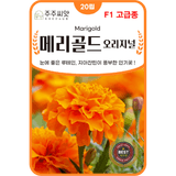 팜모닝 · 게시글 이미지