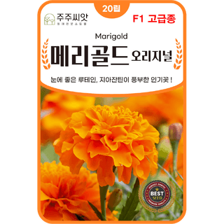 주주씨앗님의 작성글 사진