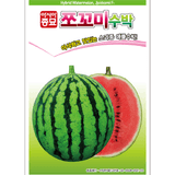 팜모닝 · 게시글 이미지