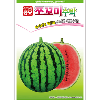 주주씨앗님의 작성글 사진