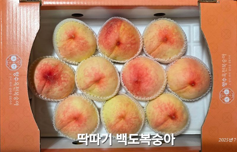 장터 상품 [[판매종료]딱따기복숭아 4kg (GAP인증 우수농산물)] 썸네일