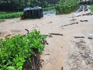 정해성님의 🌦 폭우 피해, 농민 분들 괜찮으신가요? 서로 위로의 말 나눠요 🤝 · 참여글 작성글 사진