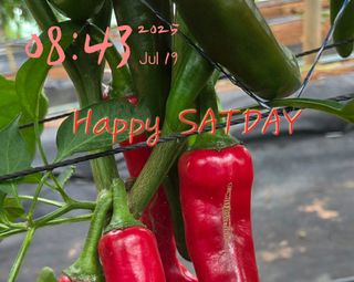 강윤원 보림팜(주)님의 작성글 사진