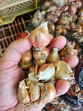 해풍님의 작성글 사진