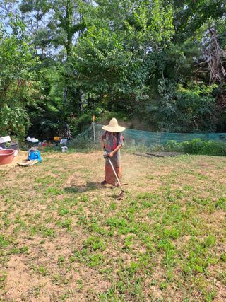 장철식님의 자유주제 · 자유게시판 작성글 사진