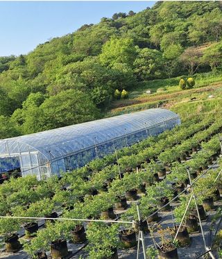 하동베리굿베리팜님의 작성글 사진