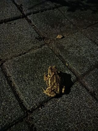 조정분(사랑이엄마)님의 자유주제 · 자유게시판 작성글 사진