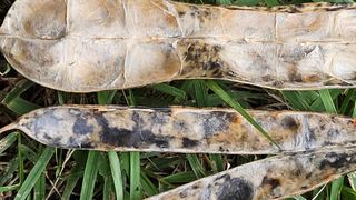 영경래8385님의 자유주제 · 자유게시판 작성글 사진