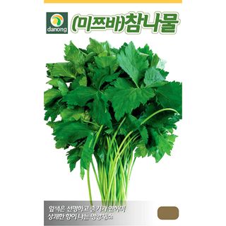 주주씨앗님의 작성글 사진