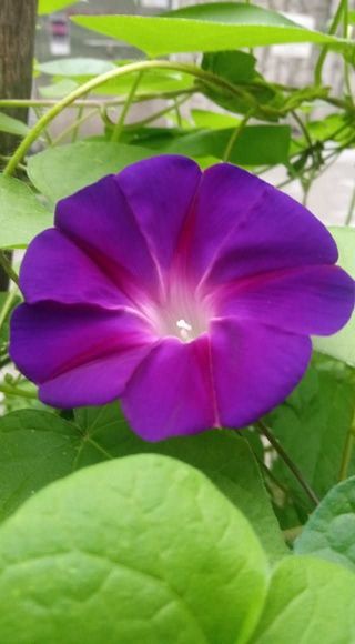 안길원님의 자유주제 · 자유게시판 작성글 사진