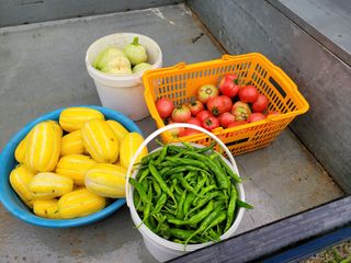 땅땅님의 자유주제 · 자유게시판 작성글 사진