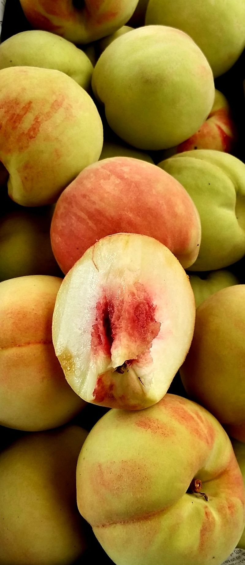 이슬농부농산님의 장터 판매 상품 [[히트상품]복숭아[황도/백도]당도짱4kg] 첨부 사진