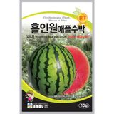 팜모닝 · 게시글 이미지