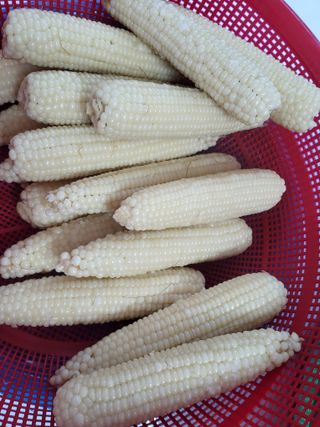 이연화님의 자유주제 · 자유게시판 작성글 사진