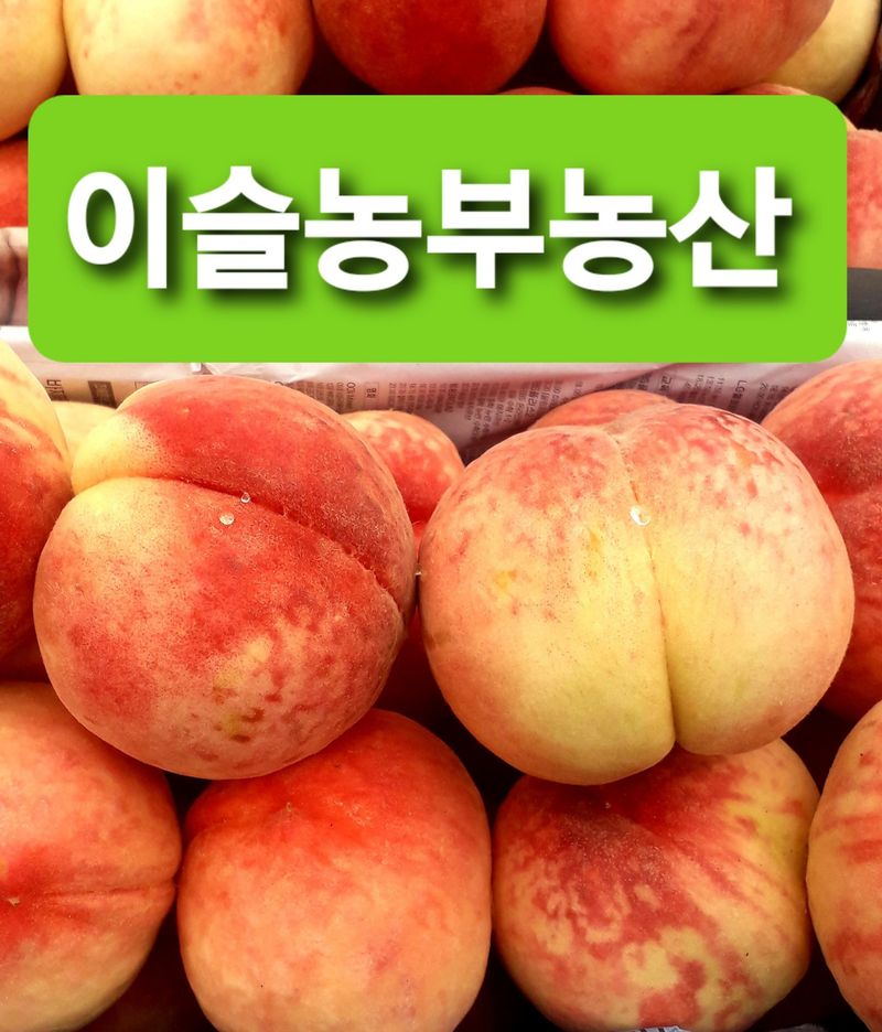 장터 상품 [[히트상품]복숭아[황도/백도]당도짱4kg] 썸네일