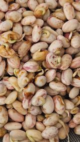 팜모닝 자유주제·자유게시판 게시글 이미지