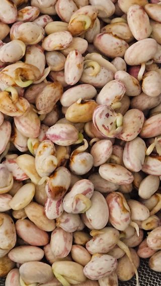 영경래8385님의 자유주제 · 자유게시판 작성글 사진