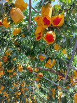 팜모닝 · 게시글 이미지