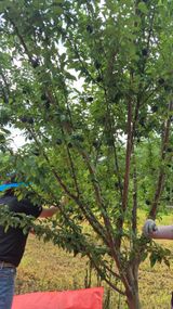 팜모닝 자유주제·자유게시판 게시글 이미지