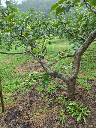 농촌사랑님의 자유주제 · 자유게시판 작성글 사진