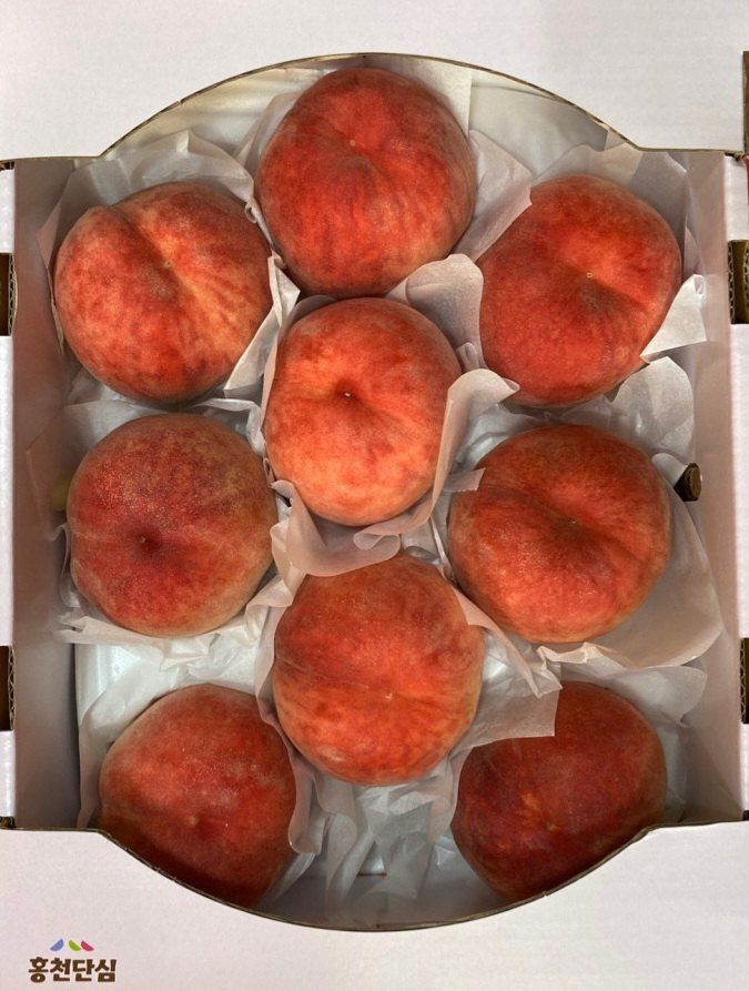 황덕순 님의 장터 판매 상품 [특허 대홍복숭아 판매] 첨부 사진