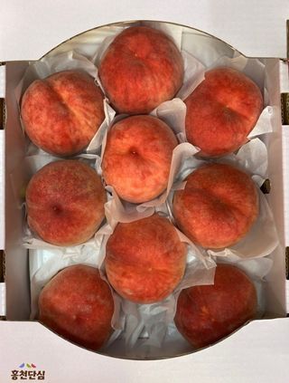 황덕순 님의 작성글 사진