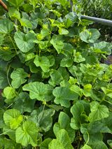 팜모닝 자유주제·자유게시판 게시글 이미지