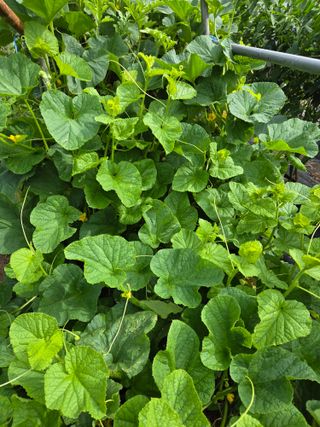 김정배님의 자유주제 · 자유게시판 작성글 사진