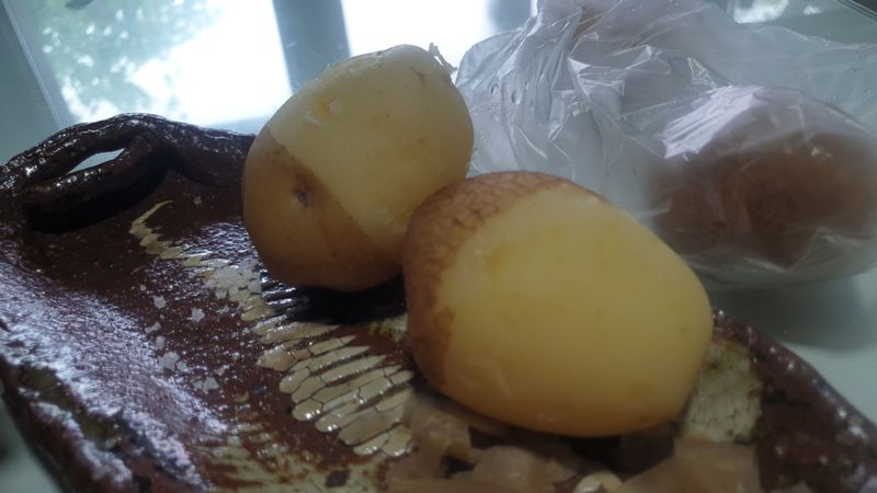 농부아내님의 장터 판매 상품 [해풍과 솔향기 듬뿍, 맛있는 감자] 첨부 사진