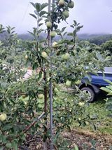 팜모닝 자유주제·자유게시판 게시글 이미지