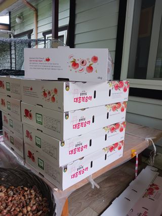 황덕순 님의 작성글 사진