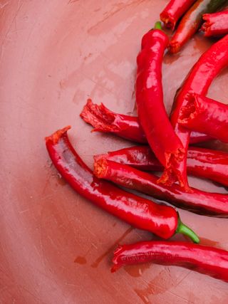 조정숙(1955)님의 자유주제 · 자유게시판 작성글 사진