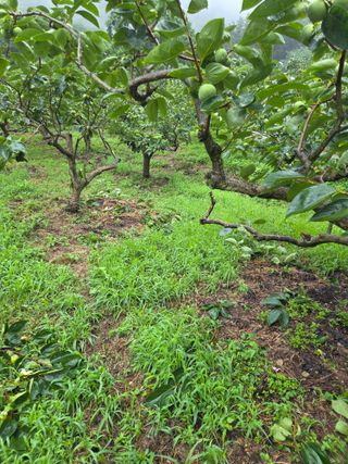 농촌사랑님의 자유주제 · 자유게시판 작성글 사진
