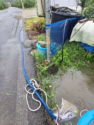 최동구님의 자유주제 · 자유게시판 작성글 사진