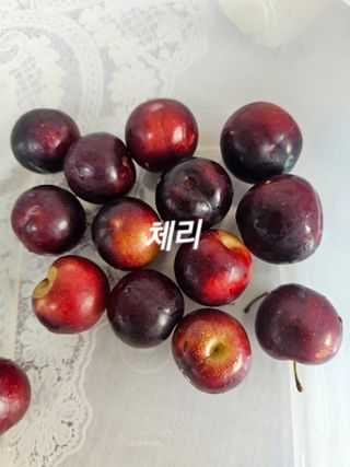 연모 자연의행복님의 자유주제 · 자유게시판 작성글 사진