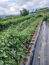 팜모닝 자유주제·사진전 게시글 이미지